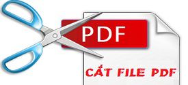 Cat-file-pdf-7.jpg