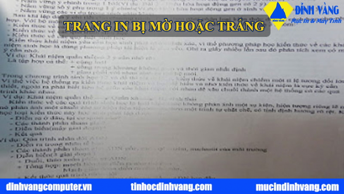 TRANG IN BỊ MỜ HOẶC TRẮNG