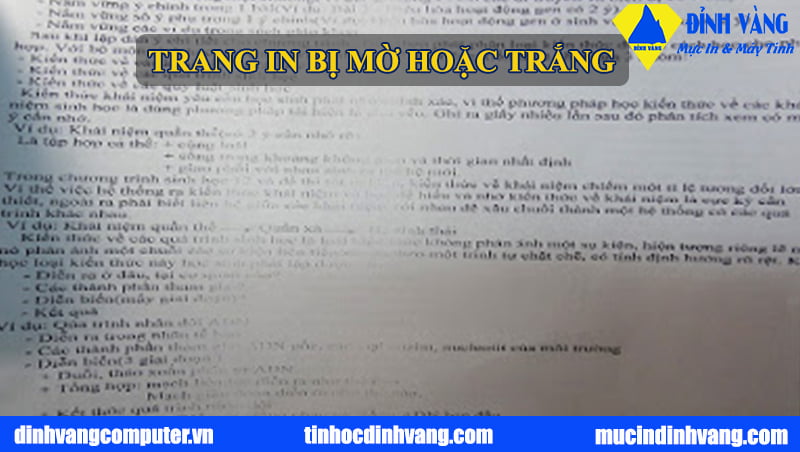 TRANG IN BỊ MỜ HOẶC TRẮNG